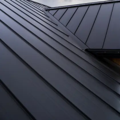Metal Roof